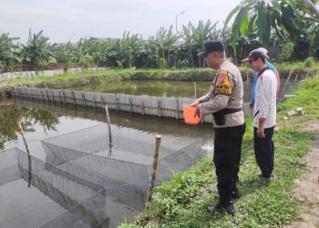 Manfaatkan Fasum untuk Budidaya Lele, Warga Keboharan Dapat Apresiasi dari Bhabinkamtibmas