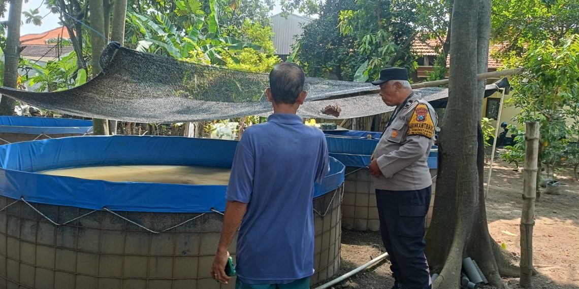 Polsek Wonoayu Tinjau Progres Lahan Ketahanan Pangan Bergizi di Desa Simoketawang