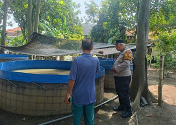 Polsek Wonoayu Tinjau Progres Lahan Ketahanan Pangan Bergizi di Desa Simoketawang