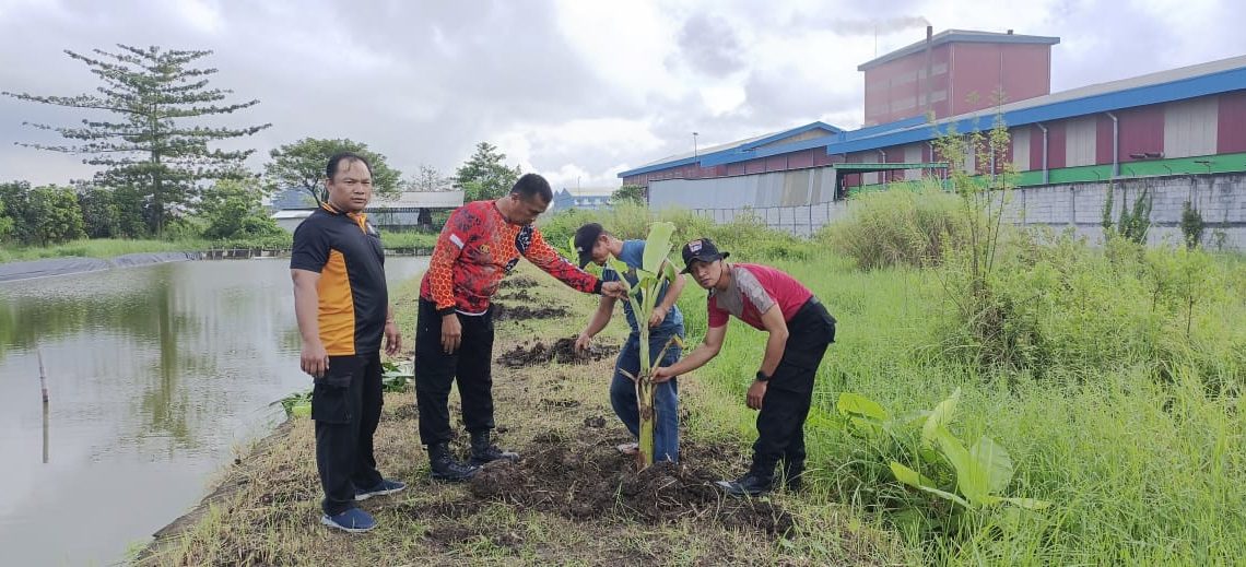 Bhabinkamtibmas Desa Ponokawan Edukasi Ketahanan Pangan, Tanam Pohon Pisang Bersama Warga
