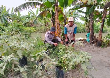 Polisi Ajak Warga Gagang Kepuhsari Balongbendo Kelola Lahan Kosong di Tanami Sayuran