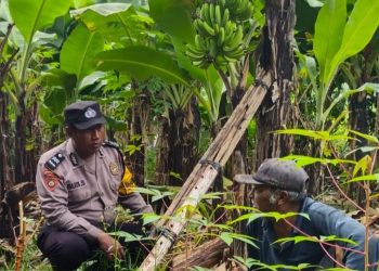 Kapolsek Sedati Masifkan Program Ketahanan Pangan dengan Peran Aktif Bhabinkamtibmas