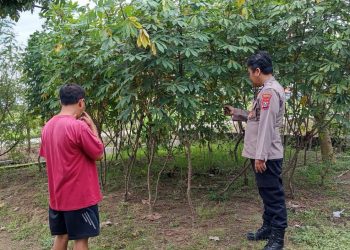 Polsek Wonoayu Tinjau Perkembangan Lahan Ketahanan Pangan di Desa Sawocangkring