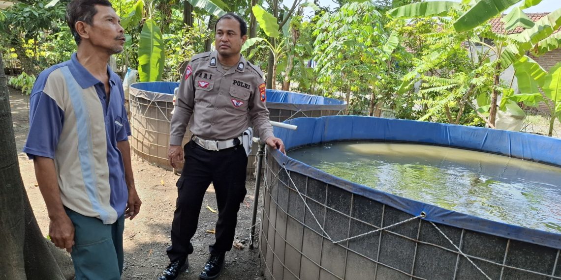 Polsek Wonoayu Apresiasi Perkembangan Budidaya Lele untuk Topang Ketahanan Pangan
