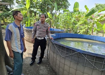 Polsek Wonoayu Apresiasi Perkembangan Budidaya Lele untuk Topang Ketahanan Pangan