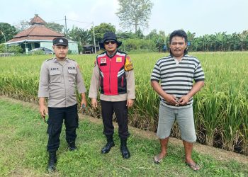 Polsek Balongbendo Dukung Ketahanan Pangan, Dialogis Petani Desa Singkalan