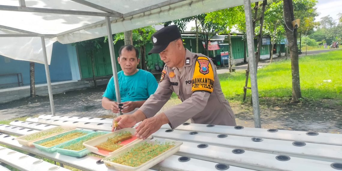 Polisi di Sidoarjo Ajak Warga Kembangkan Tanaman Hidroponik