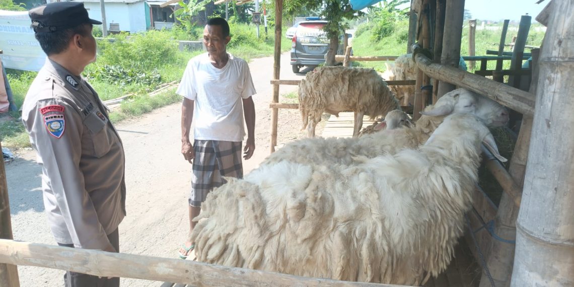 Polsek Porong Masif Patroli Sambang Desa, Dukung Ketahanan Pangan Sektor Peternakan Jelang Idul Adha