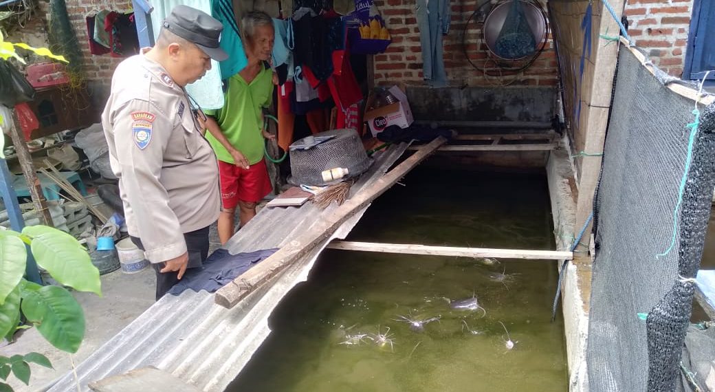 Polsek Tulangan Motivasi Budidaya Ikan Lele di Lahan Rumah Warga