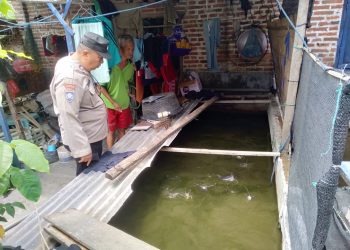 Polsek Tulangan Motivasi Budidaya Ikan Lele di Lahan Rumah Warga