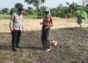 Polsek Sidoarjo Kota Lakukan Pengecekan Lahan Ketahanan Pangan di Kelurahan Sidokumpul