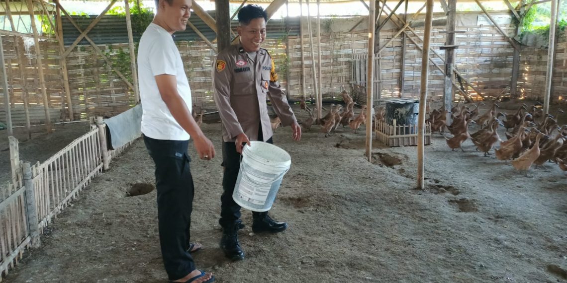Bhabinkamtibmas Buduran Dampingi Peternak Bebek Wujudkan Ketahanan Pangan