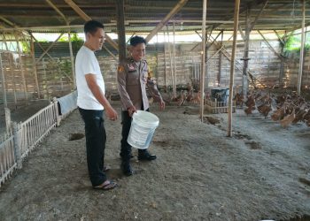 Bhabinkamtibmas Buduran Dampingi Peternak Bebek Wujudkan Ketahanan Pangan
