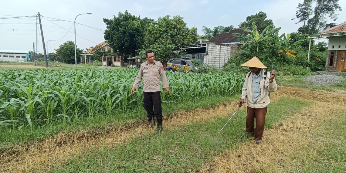 Polsek Tarik Laksanakan Patroli Dialogis Petani Jagung