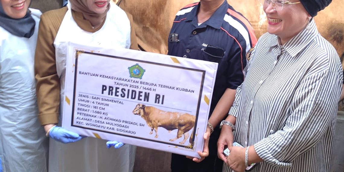 Diterima Wabup Hj Mimik Idayana, Kabupaten Sidoarjo Terima Satu Ekor Sapi Kurban Seberat 1,08 Ton dari Presiden Prabowo Subianto