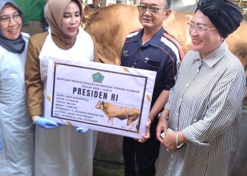 Diterima Wabup Hj Mimik Idayana, Kabupaten Sidoarjo Terima Satu Ekor Sapi Kurban Seberat 1,08 Ton dari Presiden Prabowo Subianto