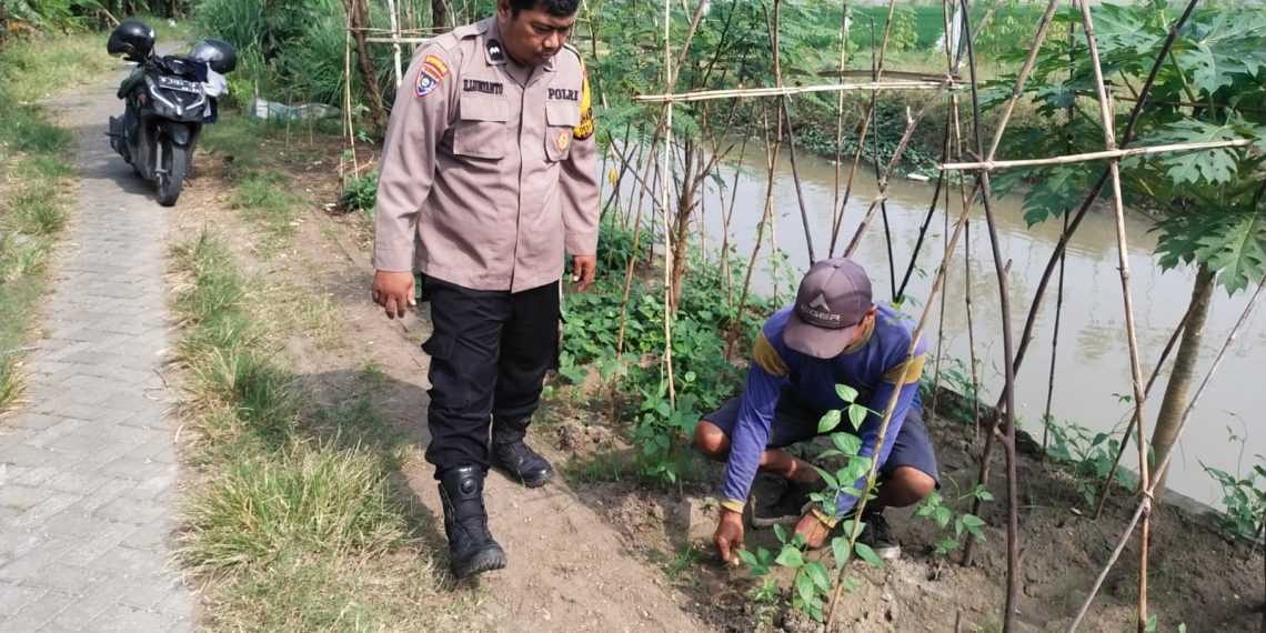 Polisi Dampingi Petani Wujudkan Ketahanan Pangan di Desa Rejeni
