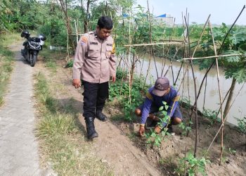 Polisi Dampingi Petani Wujudkan Ketahanan Pangan di Desa Rejeni