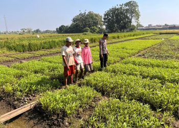 Bhabinkamtibmas Lemujut Sambangi Petani, Dukung Ketahanan Pangan