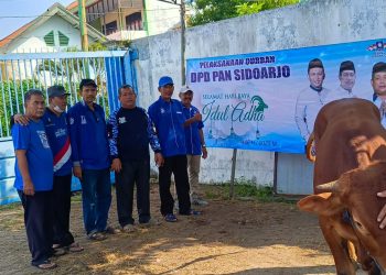DPD PAN Sidoarjo Bagikan Daging Kurban ke Rakyat