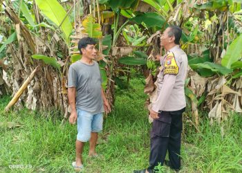 Bhabinkamtibmas Desa Kenongo Dampingi Petani Pisang