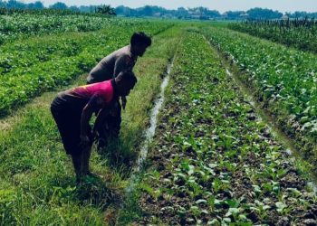 Polisi Tinjau Lahan Pertanian, Dukung Program Ketahanan Pangan