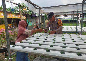 Polsek Taman Tinjau Progres Program Tanaman Sayur Hidroponik di Desa Pertapan Maduretno