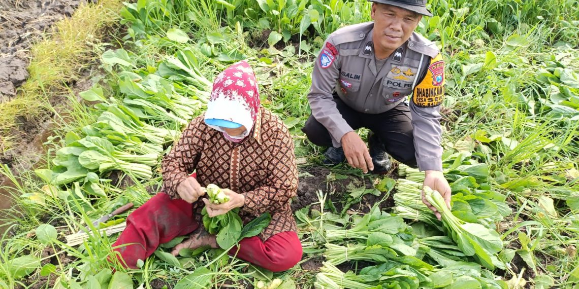 Polsek Balongbendo Dukung Program P2B Kelola Pekarangan Produktif