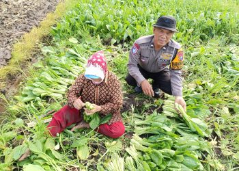 Polsek Balongbendo Dukung Program P2B Kelola Pekarangan Produktif