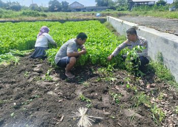 Polsek Porong Ajak Warga Lestarikan Tanam Kangkung