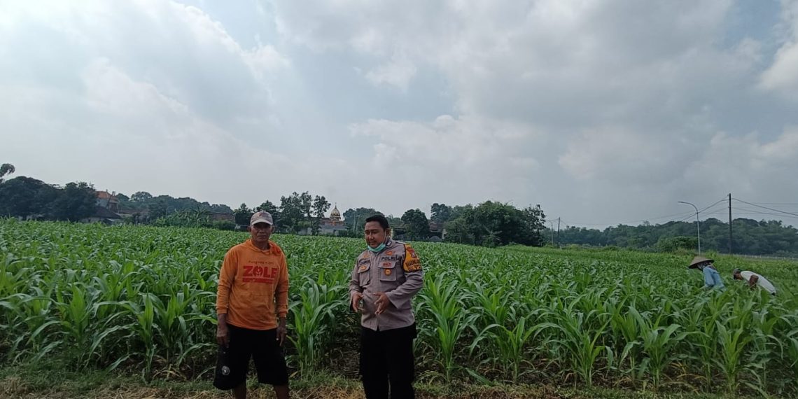 Implementasi Ketahanan Pangan, Polsek Tarik Gencarkan Sambang Desa
