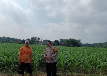 Implementasi Ketahanan Pangan, Polsek Tarik Gencarkan Sambang Desa