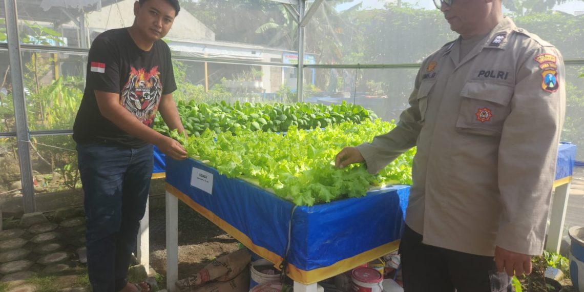 Polisi Tinjau Lahan Ketahanan Pangan Sayur Hidroponik Desa Tebel Gedangan