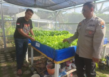 Polisi Tinjau Lahan Ketahanan Pangan Sayur Hidroponik Desa Tebel Gedangan
