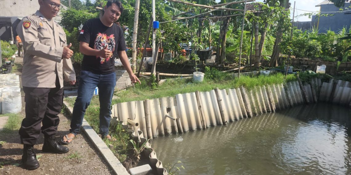 Budidaya Ikan Nila di Desa Tebel Gedangan, Cocok untuk Program Ketahanan Pangan