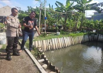 Budidaya Ikan Nila di Desa Tebel Gedangan, Cocok untuk Program Ketahanan Pangan