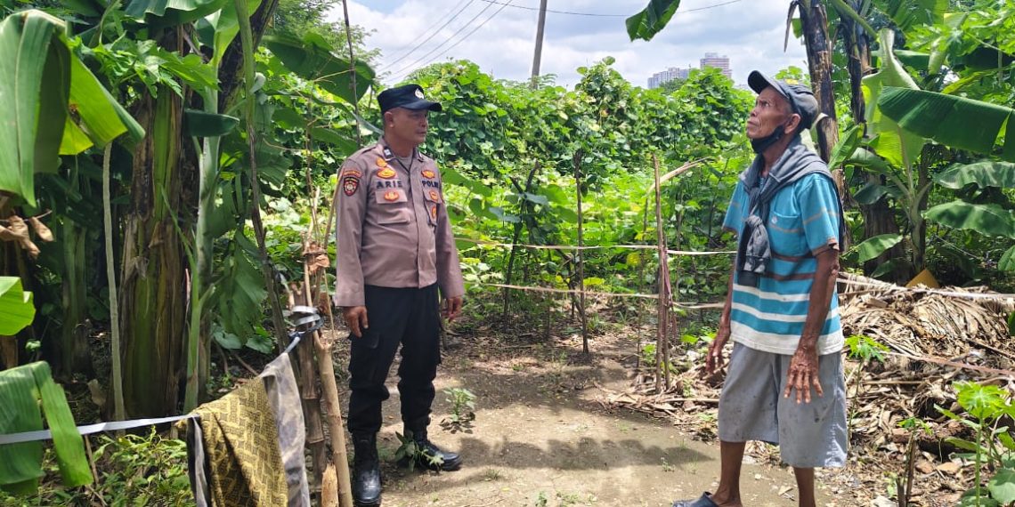 Bhabinkamtibmas Polsek Taman Dampingi Warga Kembangkan Kebun Terong