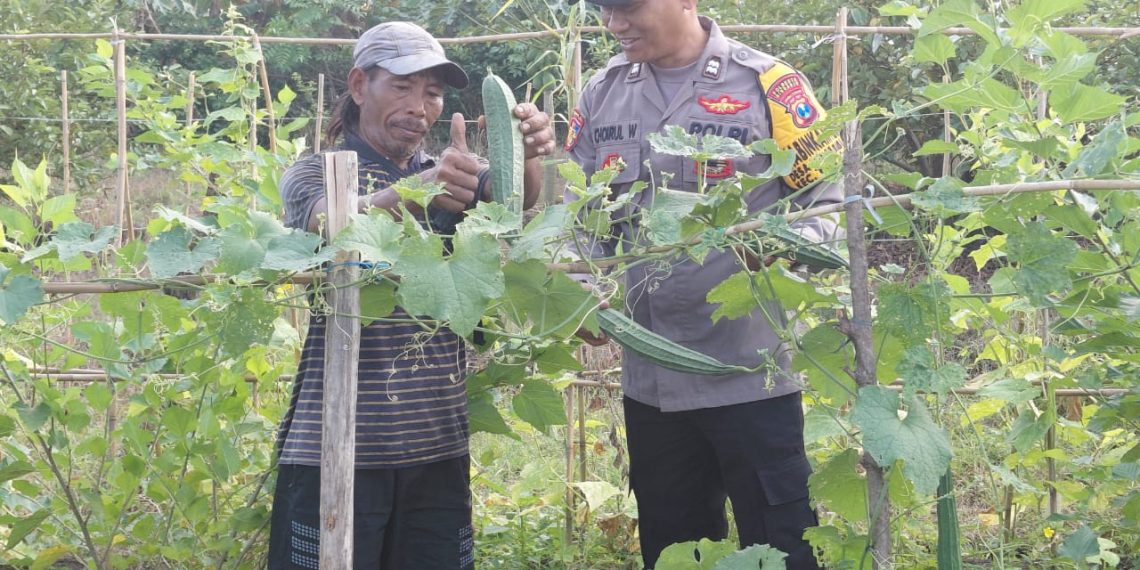 Polsek Taman Kembangkan Tanaman Hortikultura