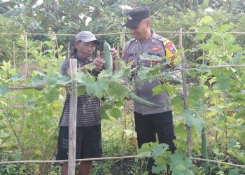 Polsek Taman Kembangkan Tanaman Hortikultura