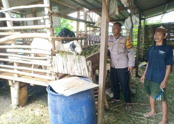 Polisi Cek Lahan Peternakan, Dukung Ketahanan Pangan Desa Kenongo