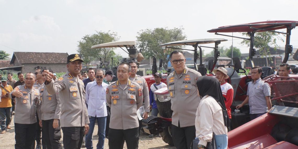 Tim Verifikasi Lomba Ketahanan Pangan Mabes Polri Tinjau Lahan Jagung di Sidoarjo