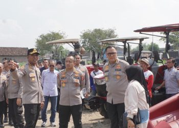 Tim Verifikasi Lomba Ketahanan Pangan Mabes Polri Tinjau Lahan Jagung di Sidoarjo