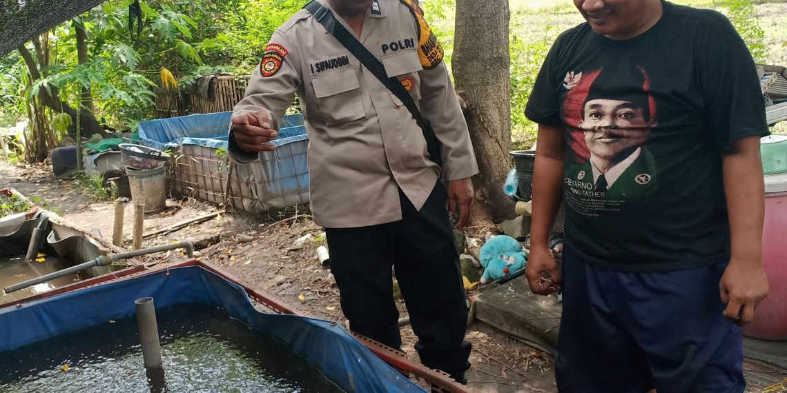 Ubah Lahan Kosong Untuk Budi Daya Lele, Bhabinkamtibmas Polsek Taman Motivasi Ketahanan Pangan