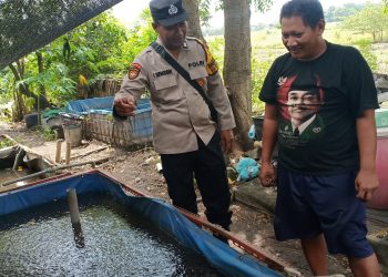 Ubah Lahan Kosong Untuk Budi Daya Lele, Bhabinkamtibmas Polsek Taman Motivasi Ketahanan Pangan