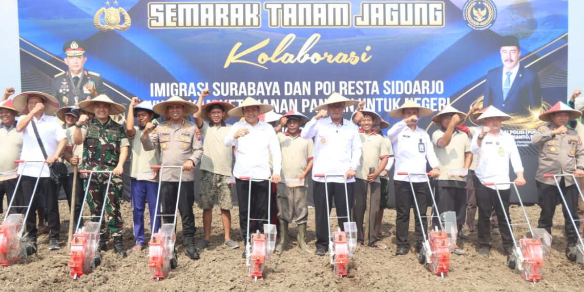 Imigrasi Surabaya dan Forkopimda Sidoarjo Kolaborasi Dukung Ketahanan Pangan Melalui Semarak Tanam Jagung
