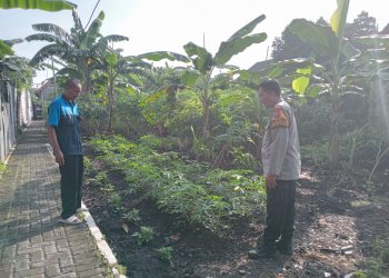 Bhabinkamtibmas Polsek Tulangan Dukung Swasembada Pangan Mandiri Lewat Program Pekarangan Bergizi