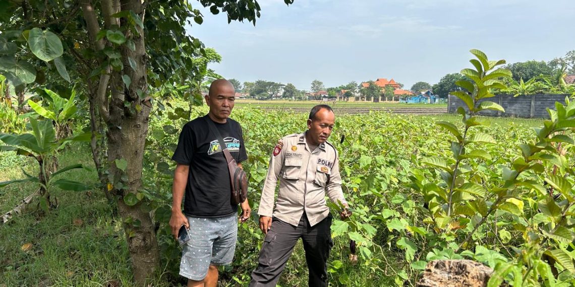 Bhabinkamtibmas Polsek Prambon Kontrol Lahan P2B Desa Pejangkungan