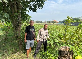 Bhabinkamtibmas Polsek Prambon Kontrol Lahan P2B Desa Pejangkungan