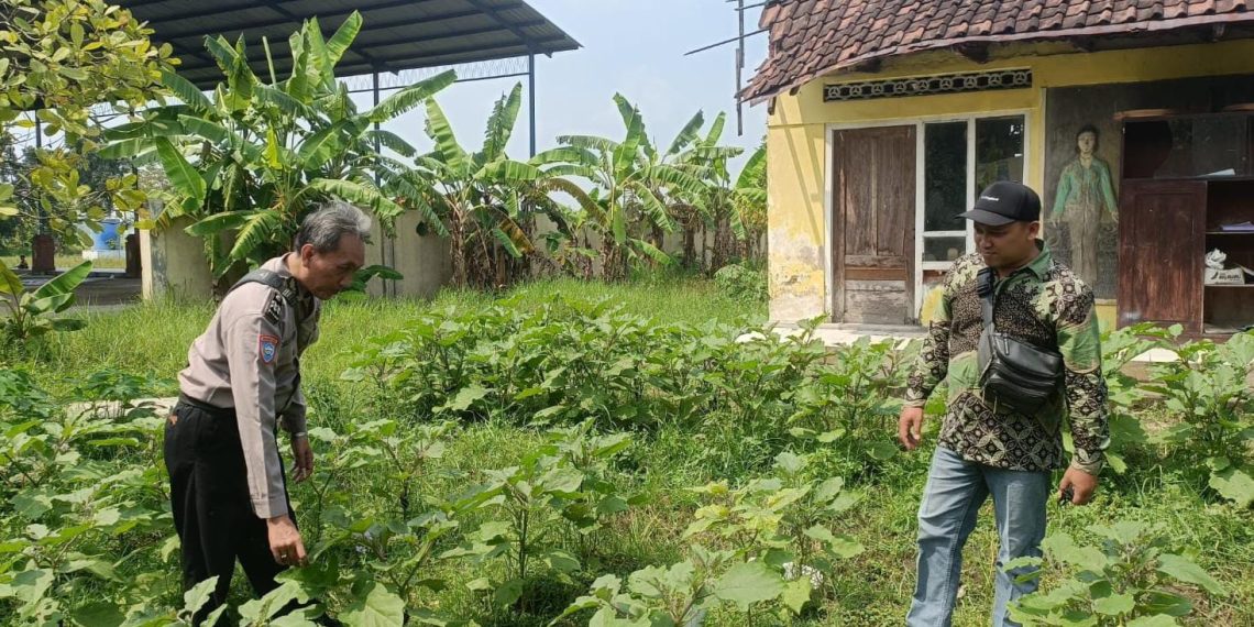 Bhabinkamtibmas Polsek Prambon Dukung Program Ketahanan Pangan Desa Kedungsugo
