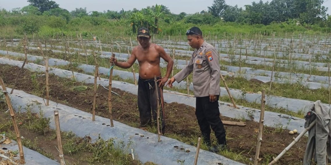Kapolsek Tarik Turunkan Personel Bantu Petani